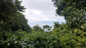 Aussicht von der Veranda unseres Zimmers