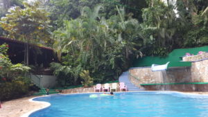 Hotel Pool in der Jungle Villa