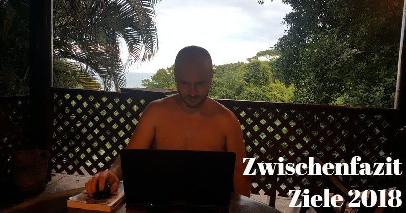 Zwischenfazit Ziele 2018