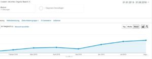 Blogbesucher durch Google im Jahr 2018